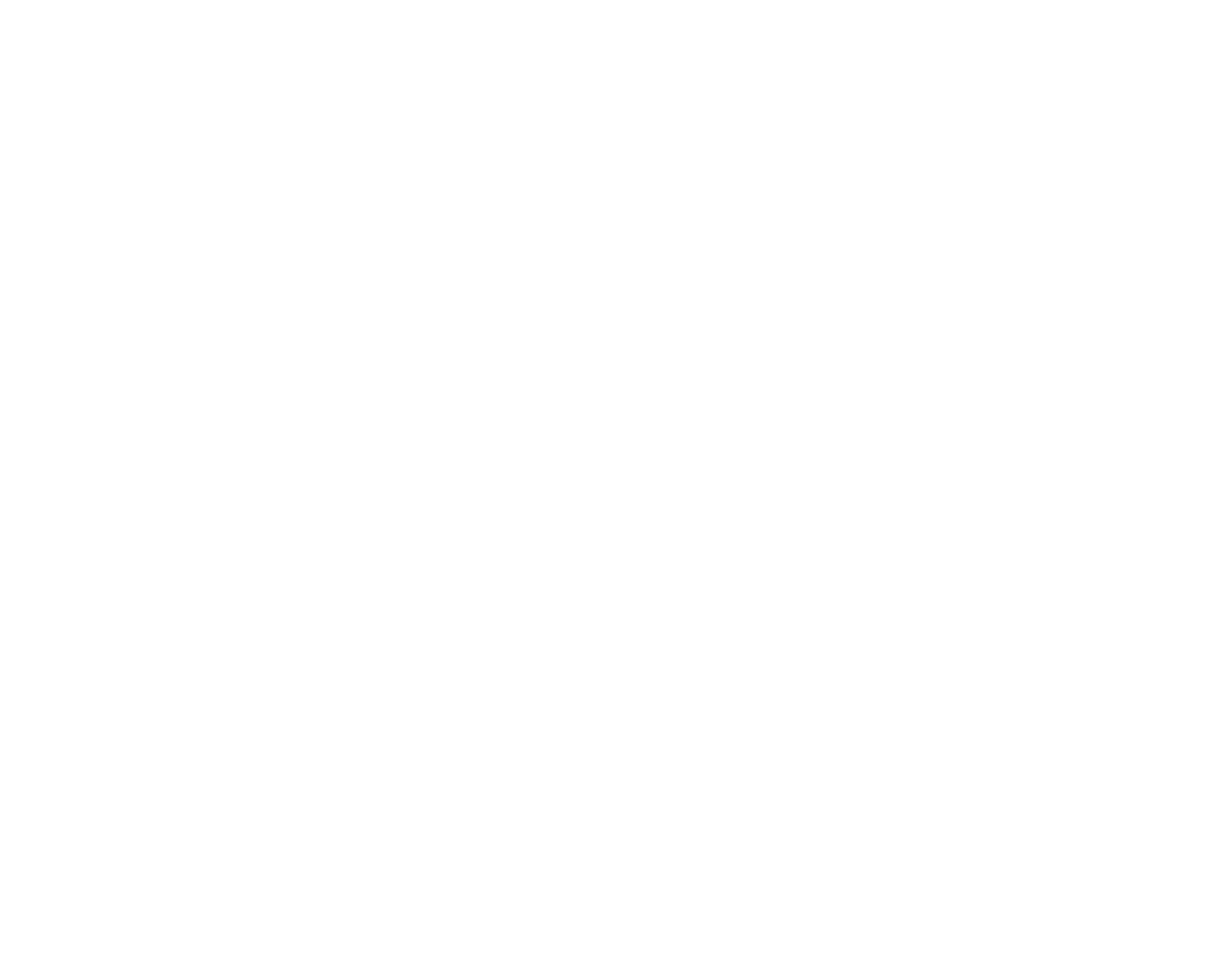 Carrefour_logo_logotype white